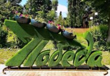 Реконструкция парка Победы завершается в Данкове